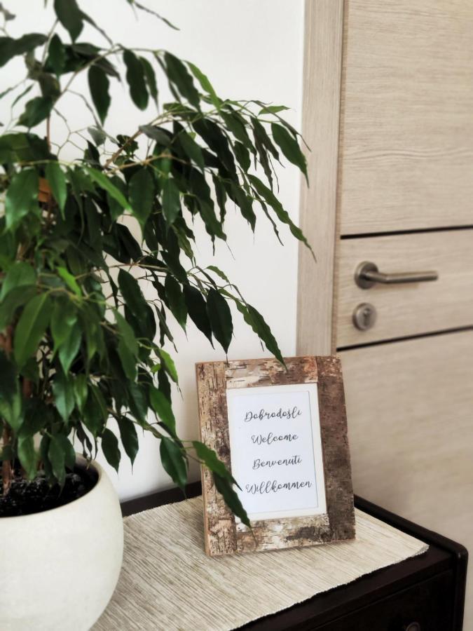 Apartment Mira 브르사르 외부 사진